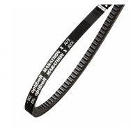 AVX10 Belts