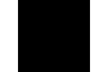 Gloss Black 5L - PU100