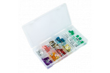 Automotive Mini Fuse Assortment (100pc)